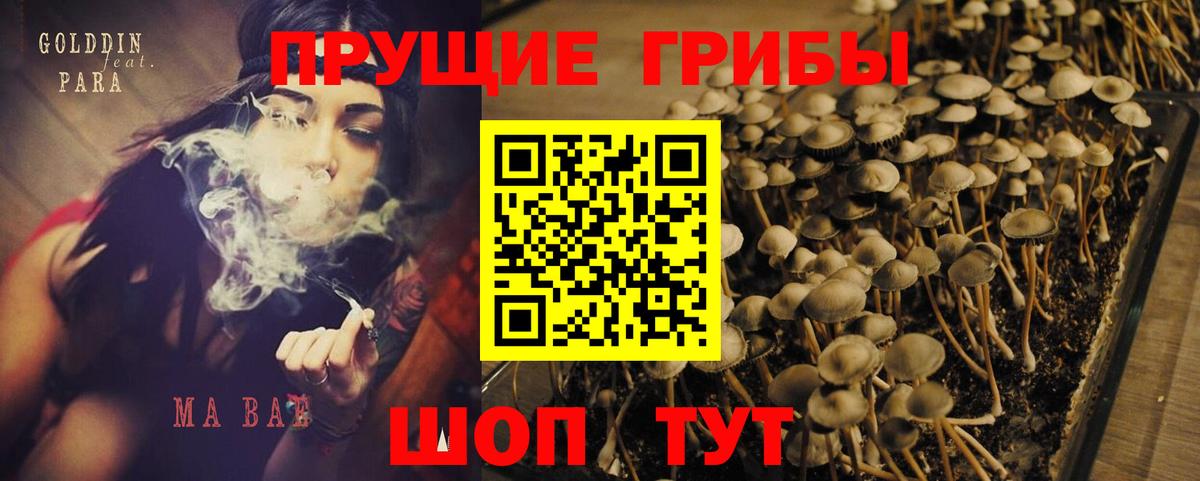 Галлюциногенные грибы GOLDEN TEACHER  Вход с VPN  Радужный 